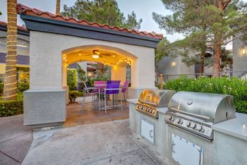 Gas Barbecue Grills with Dining Area